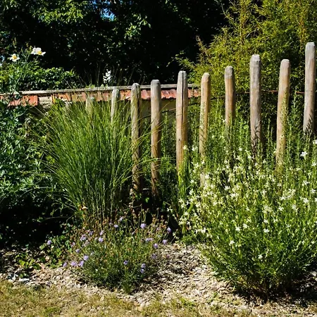 Restaurant La Musardiere جيفرني