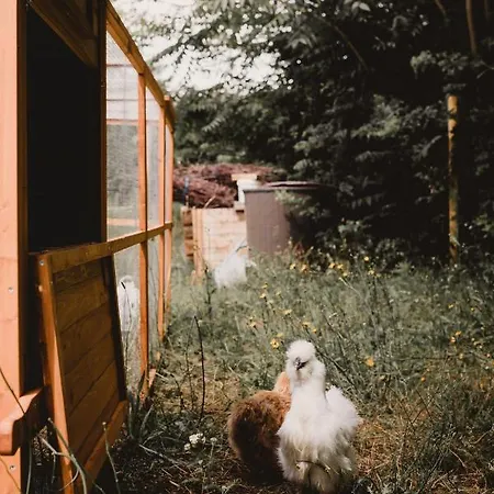 فندق Restaurant La Musardiere جيفرني