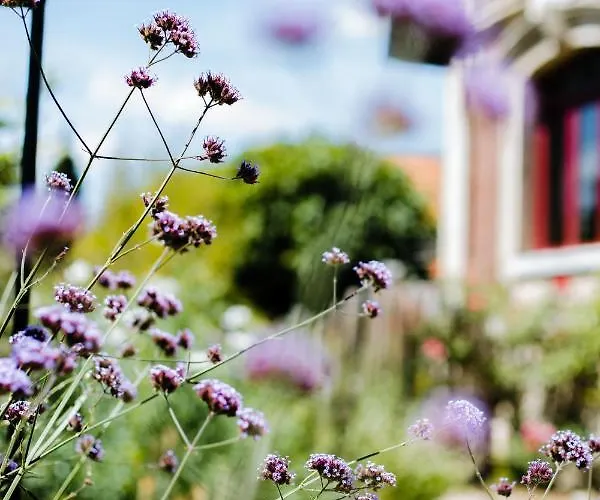 Restaurant La Musardiere Hotel 3*