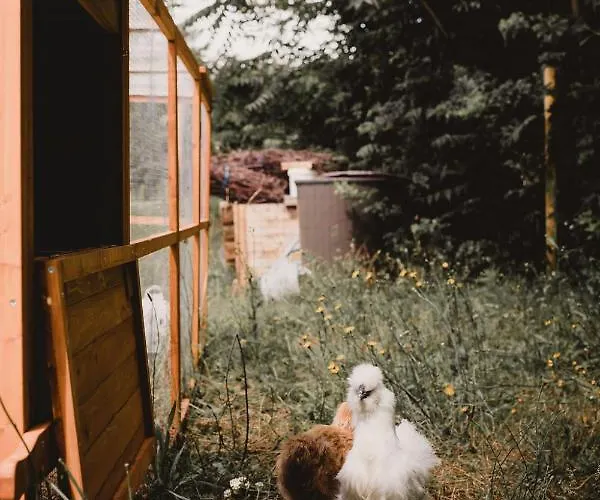 Hotel Restaurant La Musardiere Giverny